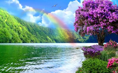 Who Are You? Because no matter what, I think you’re beautiful.