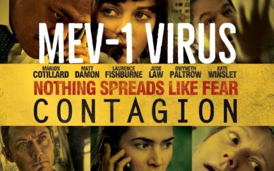 No work, no money and all fear! What’s next?